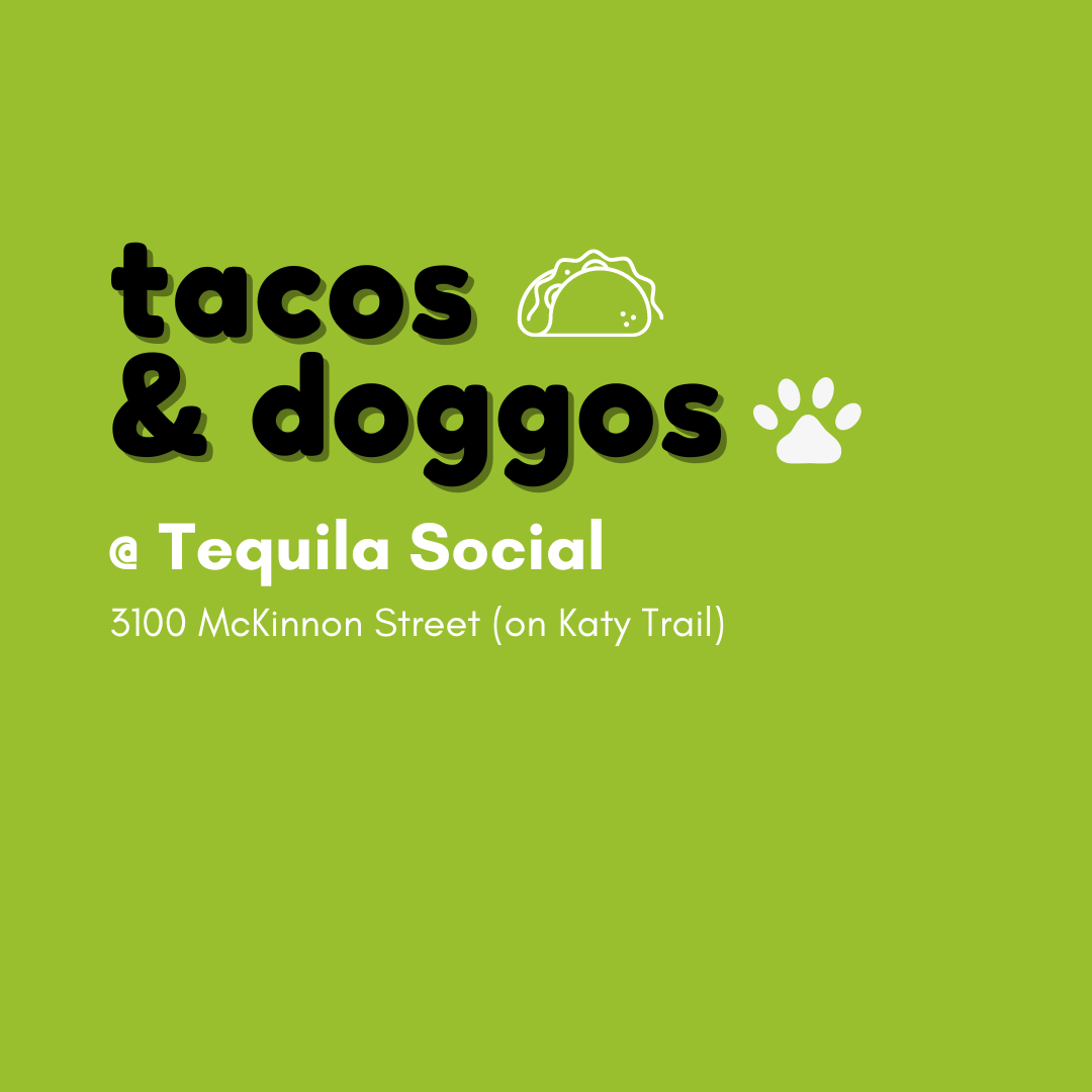 thumbnails Tacos & Doggos Happy Hour
